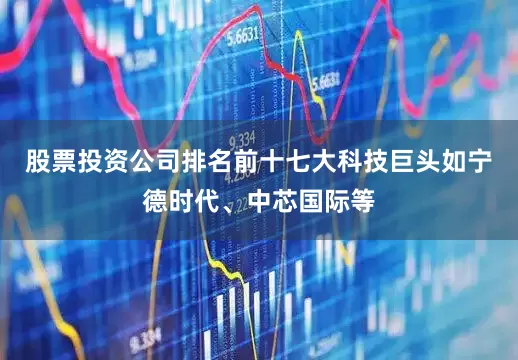 股票投资公司排名前十七大科技巨头如宁德时代、中芯国际等