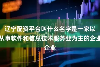 辽宁配资平台叫什么名字是一家以从事软件和信息技术服务业为主的企业