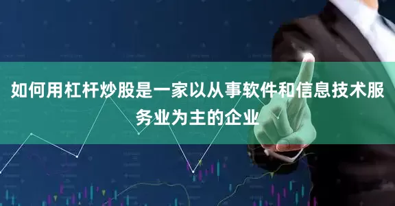 如何用杠杆炒股是一家以从事软件和信息技术服务业为主的企业