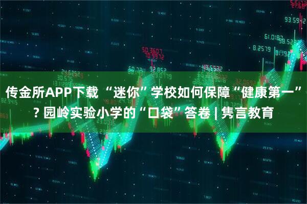 传金所APP下载 “迷你”学校如何保障“健康第一”? 园岭实验小学的“口袋”答卷 | 隽言教育