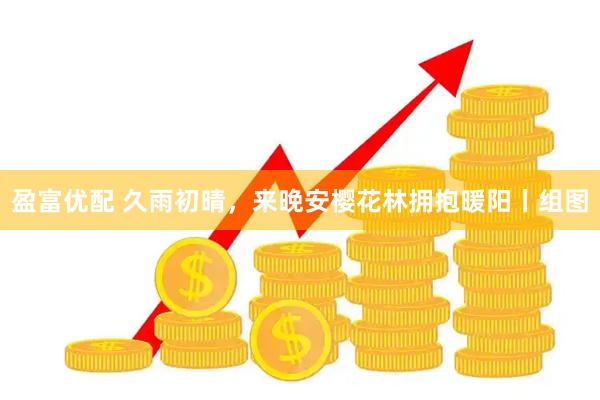 盈富优配 久雨初晴，来晚安樱花林拥抱暖阳丨组图