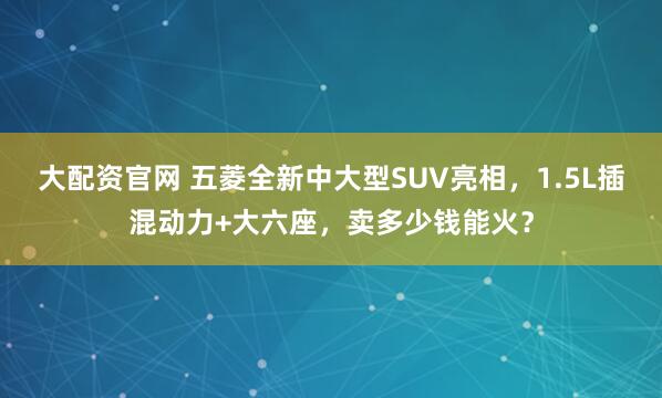 大配资官网 五菱全新中大型SUV亮相,1.5L插混动力+大六座,卖多少钱能火?