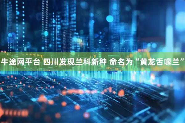 牛途网平台 四川发现兰科新种 命名为“黄龙舌喙兰”