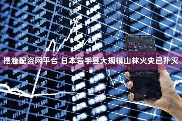 摆渡配资网平台 日本岩手县大规模山林火灾已扑灭